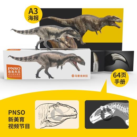 PNSO马普龙米拉恐龙大王成长陪伴模型68 商品图1