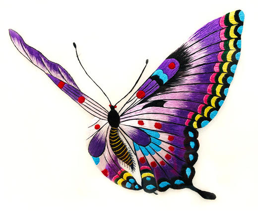 深山集市 大师手作系列——独臂绣娘梁忠美手绣蝴蝶绣片画框（手工产品蝴蝶配色以实物为准，随机发货） 商品图5