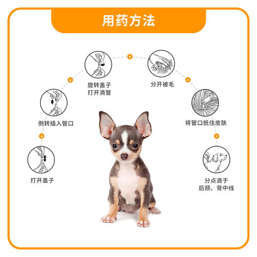 拜耳爱沃克体内外驱虫滴剂大型犬宠物狗狗驱虫子药品狗用跳蚤虱螨 商品图2
