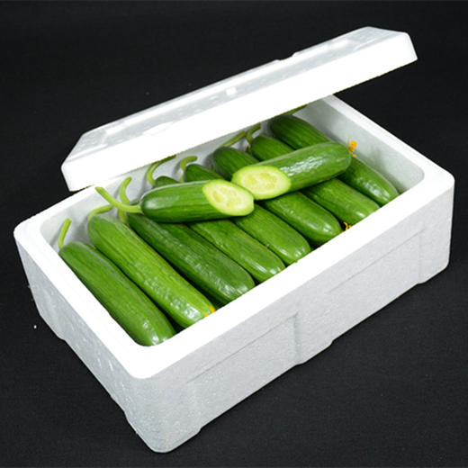 山东水果黄瓜 净重3斤-4.5斤装 新鲜脆嫩 现摘现发 商品图6