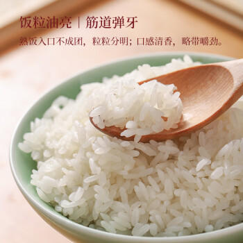 昊帅 富硒香米农家2025年新米银川长粒香米粳米宁夏大米真空10斤装 商品图0