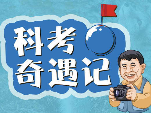 北极燕鸥对歌求偶 商品图0