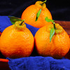 新鲜水果不知火丑橘水果桔子丑柑橘现货包邮9斤 商品缩略图0