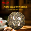 【高端品鉴装】澜沧古茶2022年贺开贡瓜普洱生茶品鉴装50g 商品缩略图3