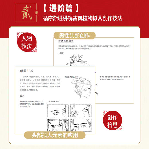 铅笔线描技法 植物拟人 古风线描画册临摹手绘 黑白线描涂色集线描基础入门书 古风人物造型铅笔线描绘画技法 商品图3