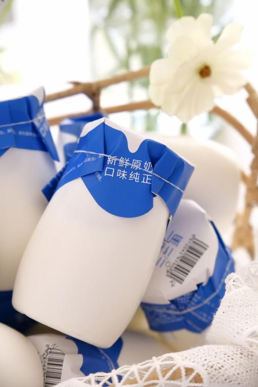 新疆原味【马三三酸奶】儿时味道！源自天山牧场 天然浓郁0添加，宝宝酸奶 180g*12罐〜 商品图4