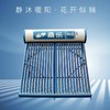 桑乐（SANGLE）太阳能热水器家用 花开似锦 一体辊压成型专利技术 多靶高效集热 商品缩略图0