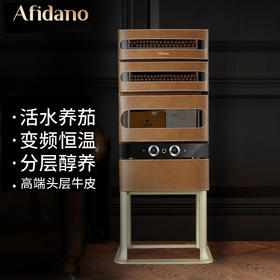 Afidano/歌斐丹诺 雪茄柜恒温恒湿雪茄保湿柜雪茄展示柜雪茄冰箱