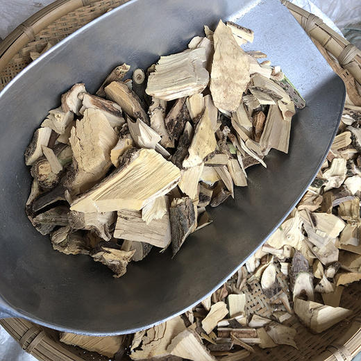 接骨木 商品图4