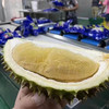 液氮托曼尼榴莲（约1kg） 商品缩略图1