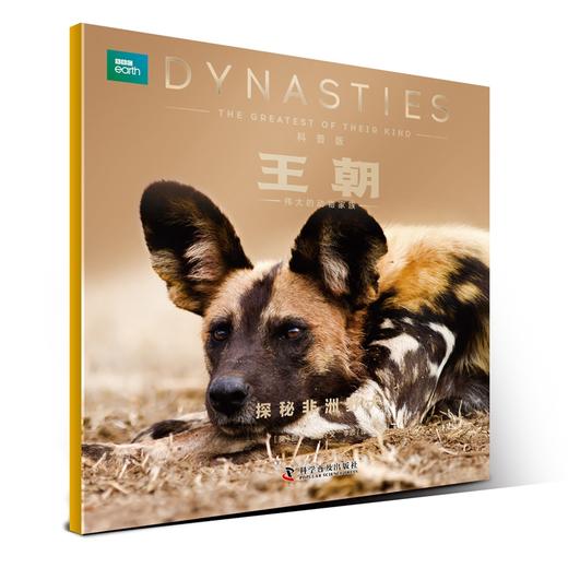 DK《BBC王朝》（全10册） 商品图7