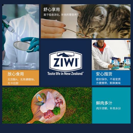 巅峰ZIWI猫罐头85g*4 商品图4