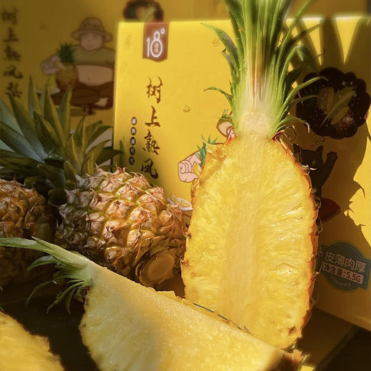 海南金钻凤梨  树上自然熟 商品图6