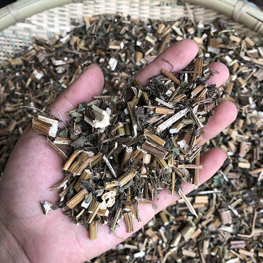 鬼针草 商品图3