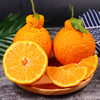 新鲜水果不知火丑橘水果桔子丑柑橘现货包邮9斤 商品缩略图3