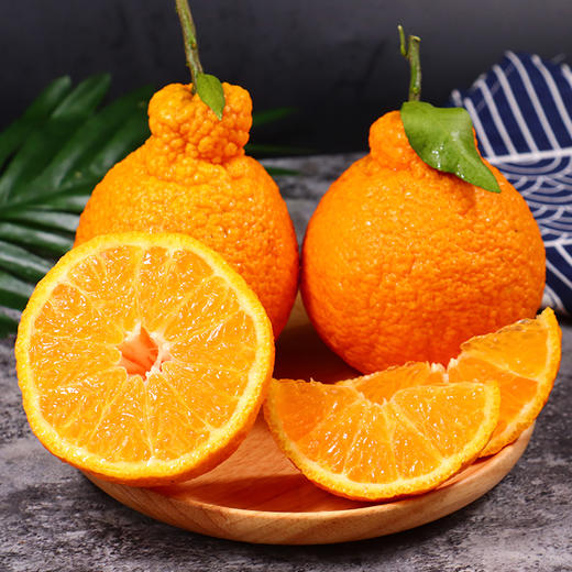 新鲜水果不知火丑橘水果桔子丑柑橘现货包邮9斤 商品图3