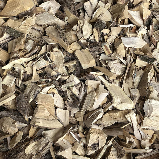 接骨木 商品图2