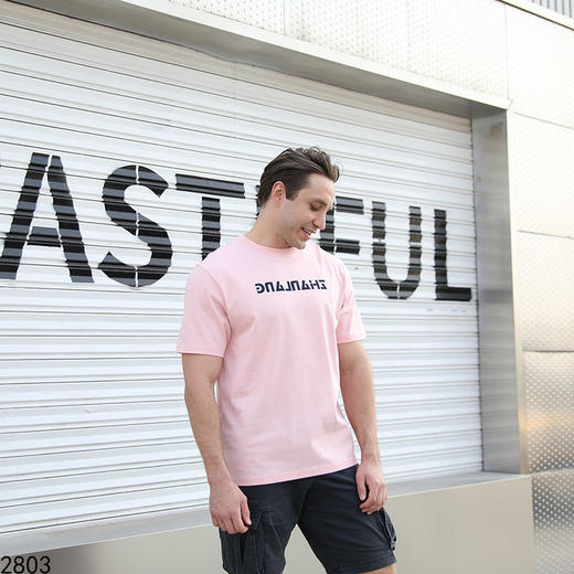 运动休闲圆领短T上衣   FLW-3CA06BSZL32803【TP232803】* 商品图1