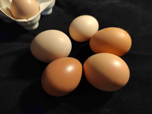 刚下的热乎儿蛋（蛋窝儿到餐桌不超过24小时） 商品图2