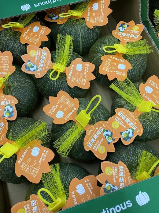 周六取货：【甜墩墩贝贝南瓜】 1个400克左右，超级好吃的贝贝南瓜！甜、粉、糯！ 商品图3