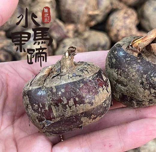 荔浦青山马蹄 冰糖甜 细腻无渣  可生吃可烧菜的荸荠 商品图8