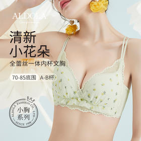 雅黛丽小胸聚拢内衣女性感蕾丝无钢圈薄款双肩带美背文胸