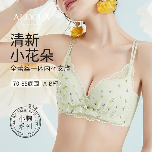 雅黛丽小胸聚拢内衣女性感蕾丝无钢圈薄款双肩带美背文胸 商品图0