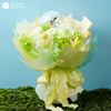 【白羊座·永生守护花】3月的幸福感，送你整个春天 商品缩略图0