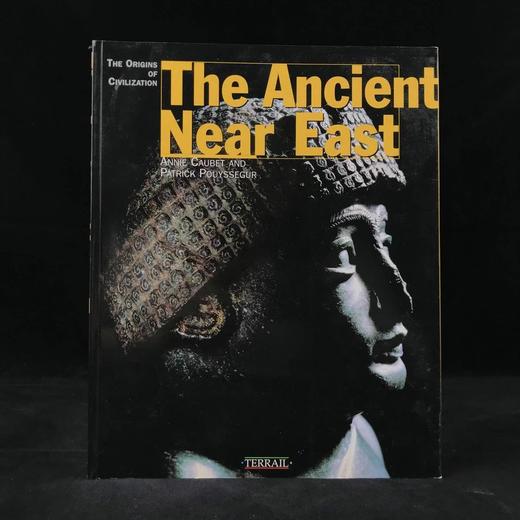 古代近东：文明的起源 数百幅插图 平装大16开 商品图0