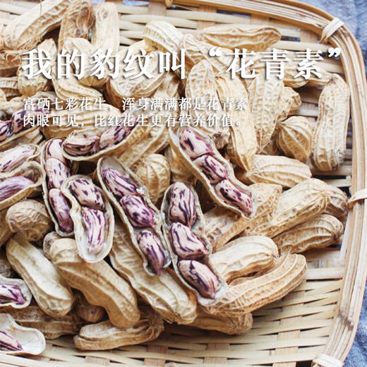 云南野地七彩花生500g 带壳熟彩色花生 新鲜晒干 商品图1