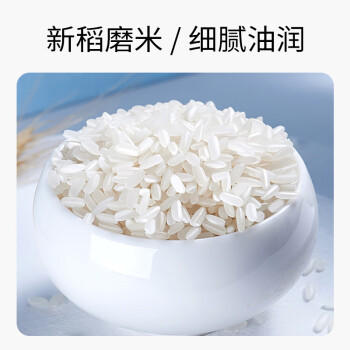 昊帅宁粳43号长粒香米2025年新米当季宁夏大米农家粳米真空10斤装一袋 商品图5