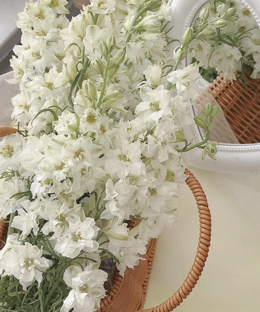 千鸟飞燕  多色可选 约8-10枝/扎 商品图3