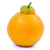 新鲜水果不知火丑橘水果桔子丑柑橘现货包邮9斤 商品缩略图7