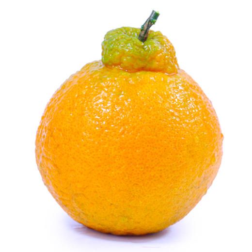 新鲜水果不知火丑橘水果桔子丑柑橘现货包邮9斤 商品图7