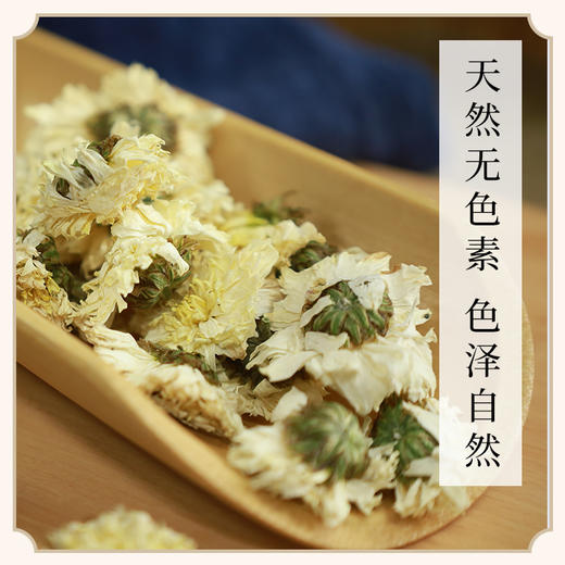【新货】正宗黄山贡菊 菊花茶干花降火干净不熏硫泡水喝的茶 商品图1