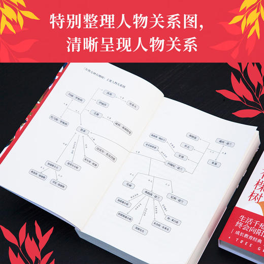 布鲁克林有棵树 商品图3