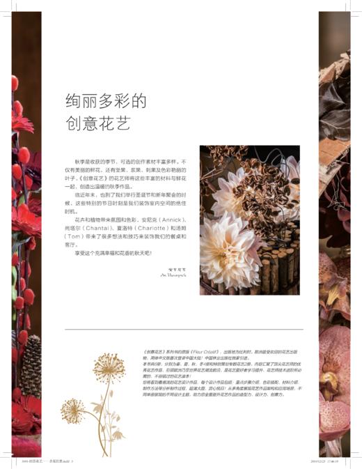 书名:创意花艺 圣诞狂想 商品图1