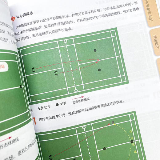 图解羽毛球运动从入门到精通(视频学习版) 商品图4