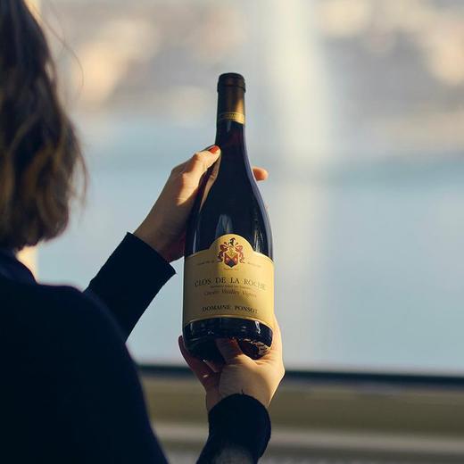 JM99准满分年份！彭寿酒庄荷西特级园老藤特酿干红 Domaine Ponsot Clos de la Roche Grand Cru Cuvee Vieilles Vignes 2019黑皮诺 商品图2