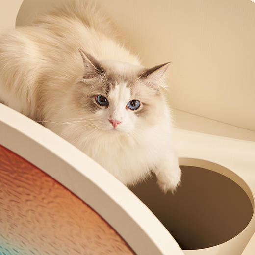 CatS日落大道系列华灯初上 猫窝猫抓板储物柜 商品图3