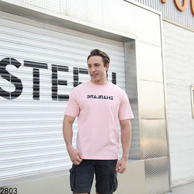 运动休闲圆领短T上衣   FLW-3CA06BSZL32803【TP232803】*