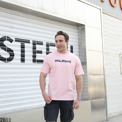 运动休闲圆领短T上衣   FLW-3CA06BSZL32803【TP232803】* 商品图0