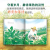 如果你想吃西瓜 商品缩略图4