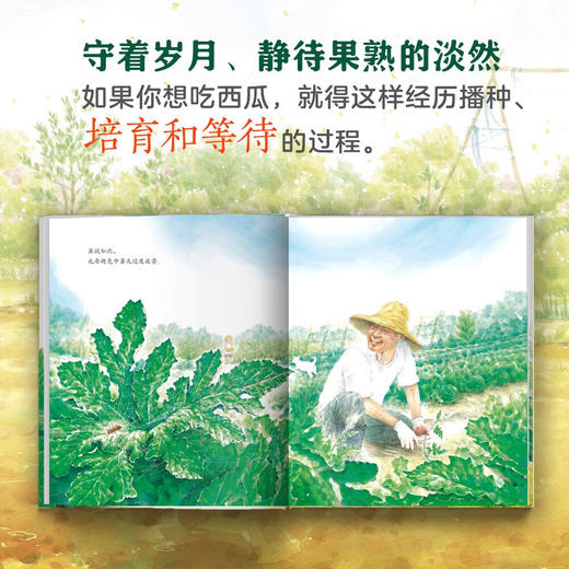 如果你想吃西瓜 商品图4