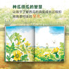 如果你想吃西瓜 商品缩略图3
