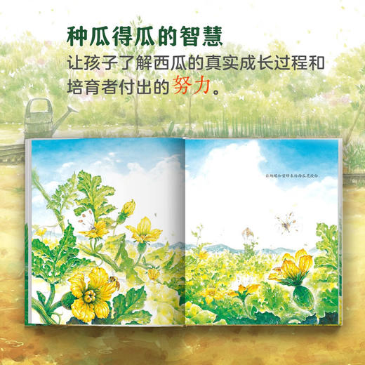 如果你想吃西瓜 商品图3