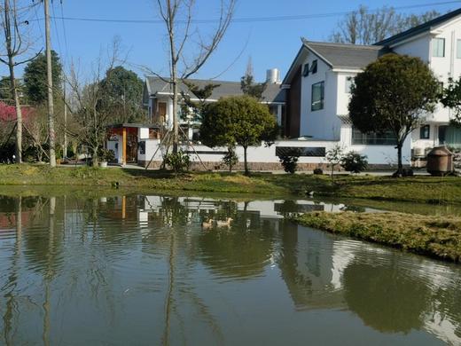 【超值特惠-崇州367号院】周末通用！¥269起住静心大/双床/亲子私汤房，近最美重庆路、严家弯湾jx 商品图3