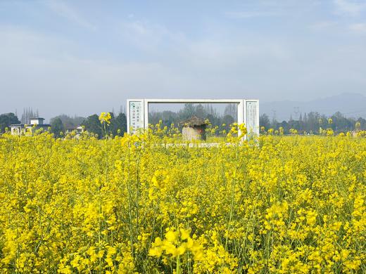 【超值特惠-崇州367号院】周末通用！¥269起住静心大/双床/亲子私汤房，近最美重庆路、严家弯湾jx 商品图4