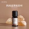 松针叶精油10ml有效期至26年9月21日 森林松木质香调 激活身心疏通消yan 商品缩略图0