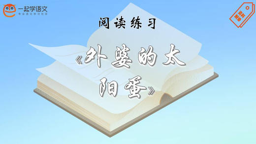 阅读练习：《外婆的太阳蛋》 商品图0